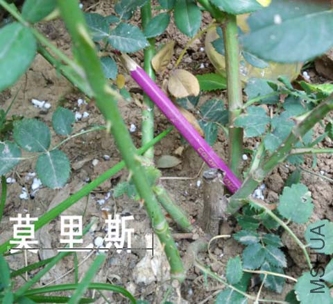 QQ��ͼ20150827171456.jpg
