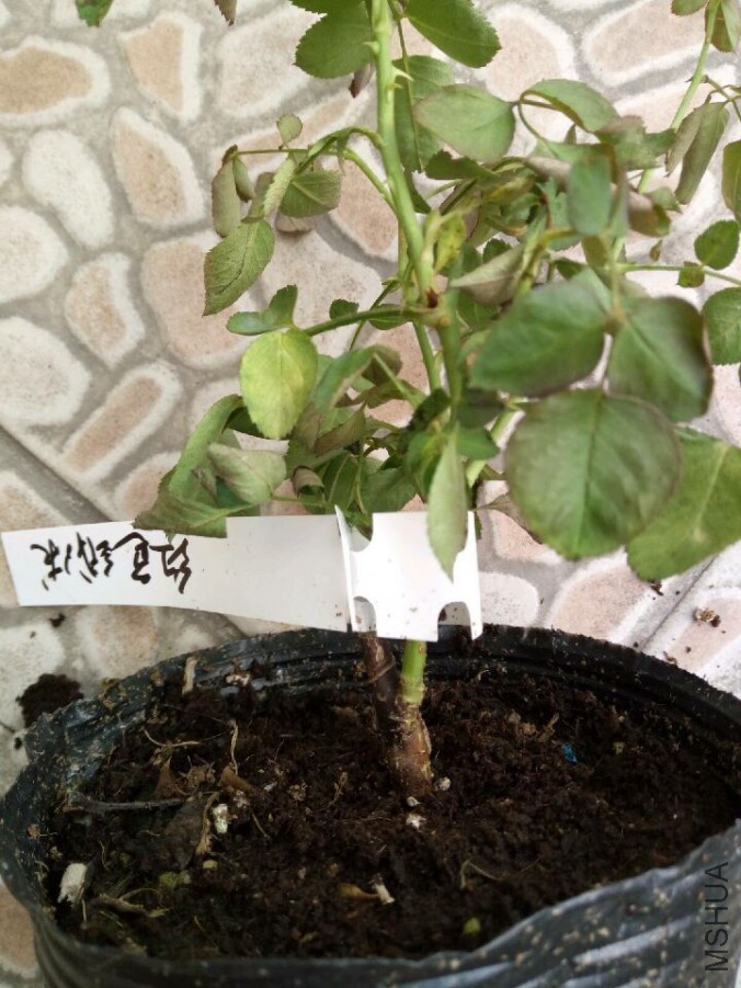 QQͼƬ20150828091406.jpg
