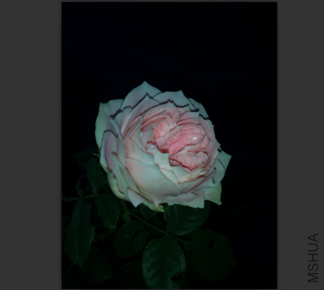 Z$9{]7TZTVL61L0KFU{NKLA.png