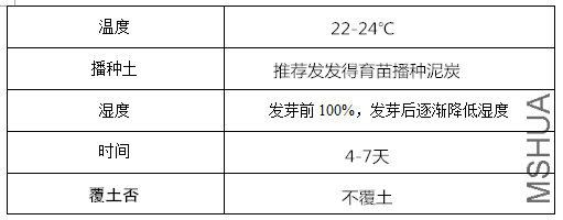 ��ǣţ_����.png