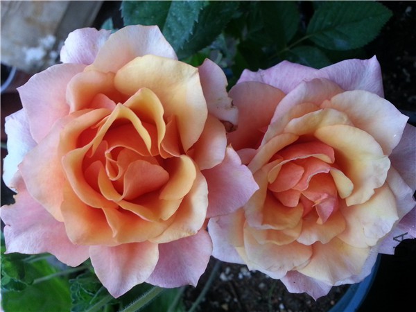 20150828_163002.jpg