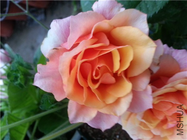 20150828_163007.jpg