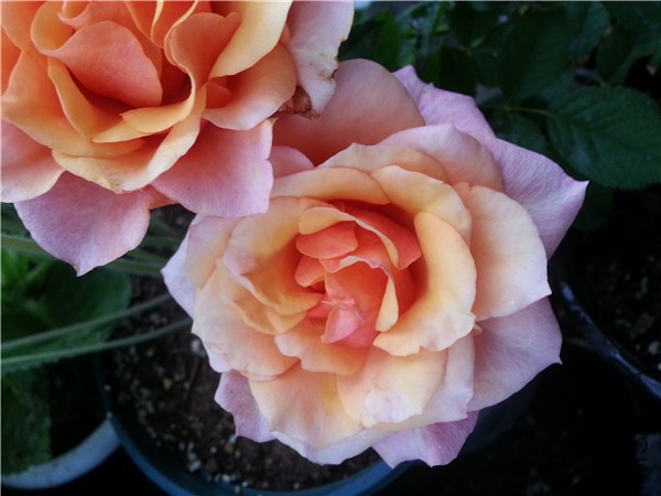 20150828_163010.jpg