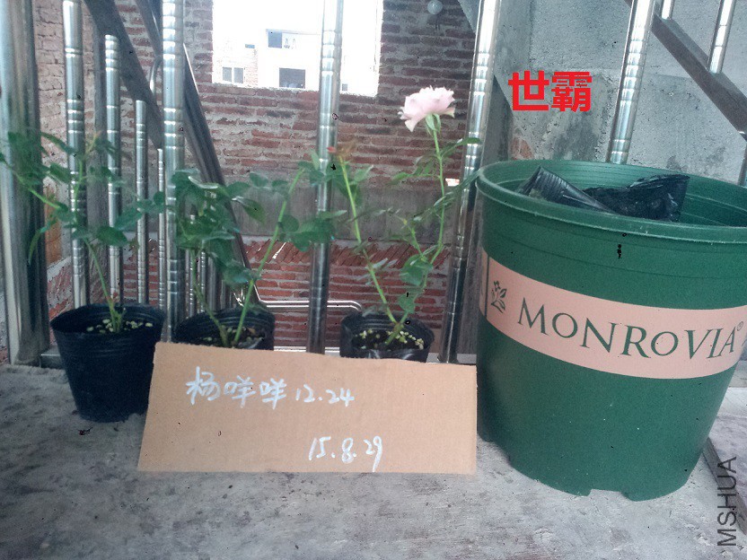 P50829-074657.jpg