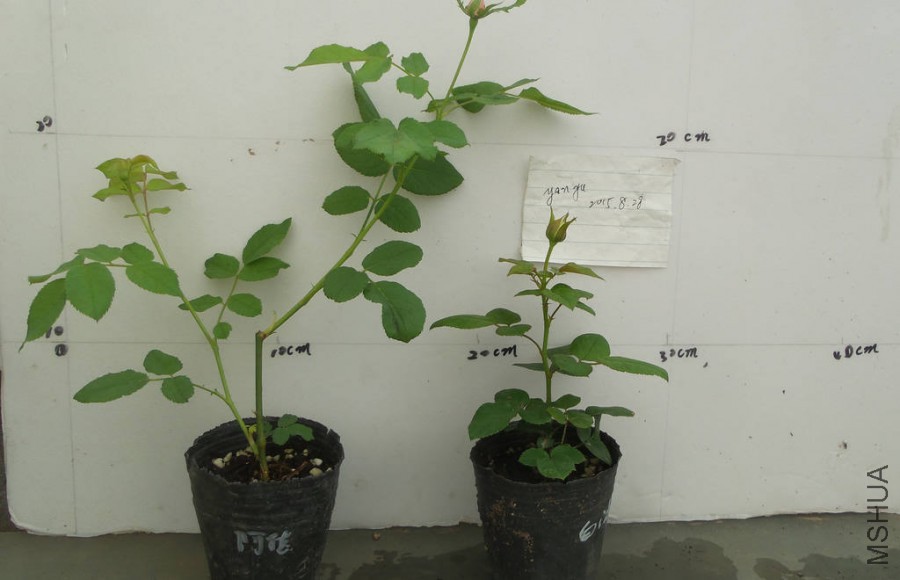 20130129_085711.jpg