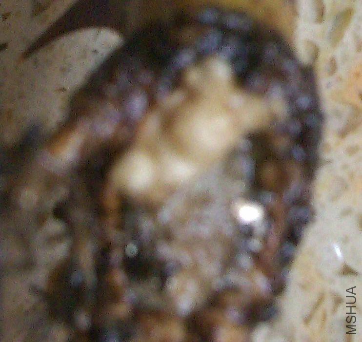 �ޱ���.jpg