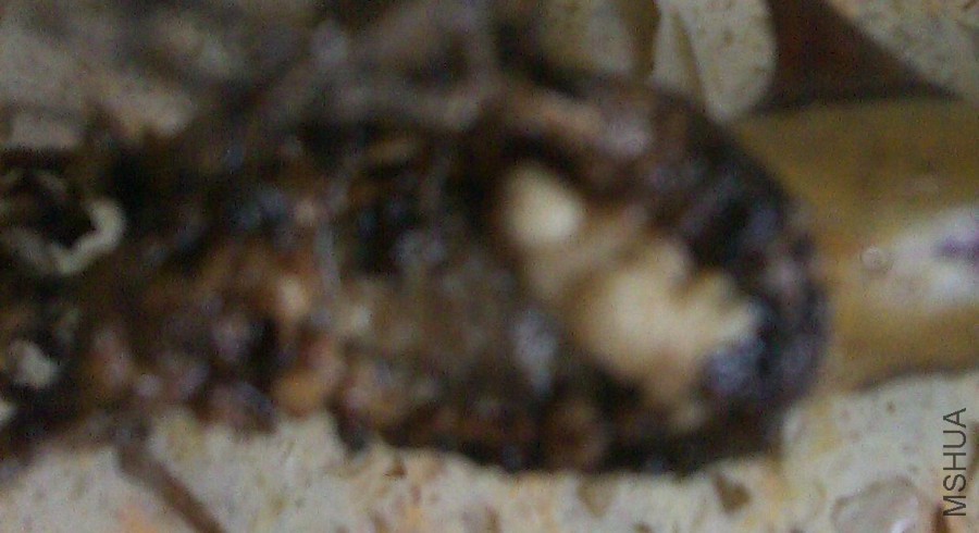 �ޱ���1.jpg