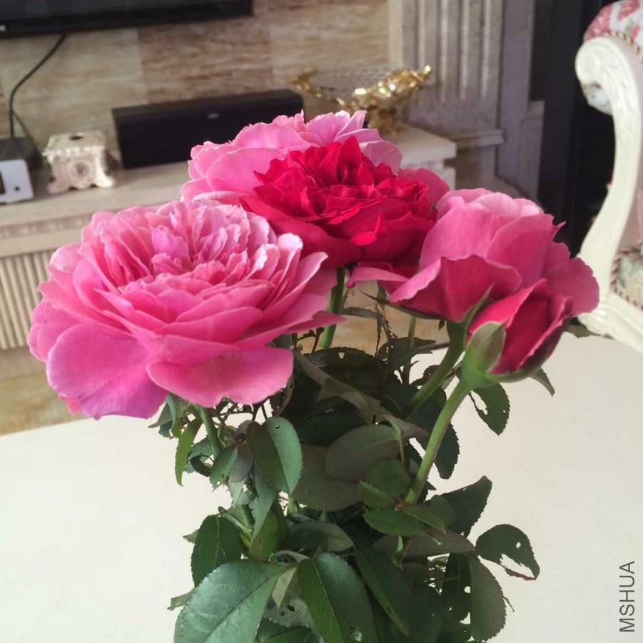 QQͼƬ20150824171041.jpg
