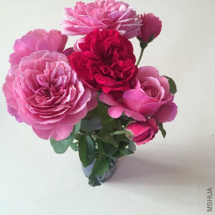 QQͼƬ20150824171025.jpg
