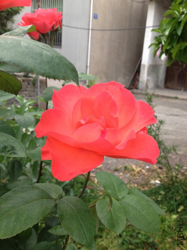 1E5SIACAB3JRAGCAQDMQVECAKJPWQHCA24UA8PCAHF73IDCAZ9KHB1CA1ZSO52CA7FFKS4CA91EXMBCA.jpg