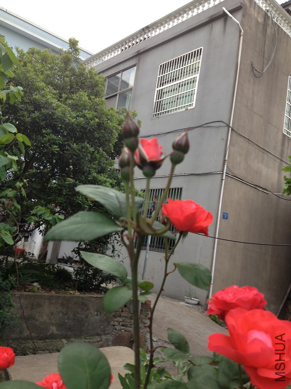 6B08C9CAM7SL9TCALH59L6CACH7D3ZCAHK8POSCAH7YVPCCAG0W3IICA00N0SLCAIQPQLACAVFX1DDCA.jpg