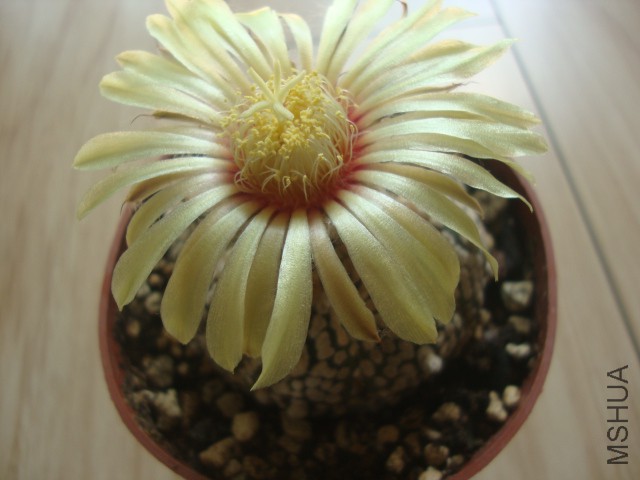 DSC04036.JPG