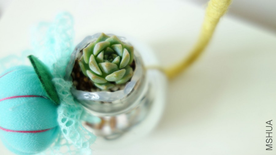 DSC01195_meitu_15.jpg