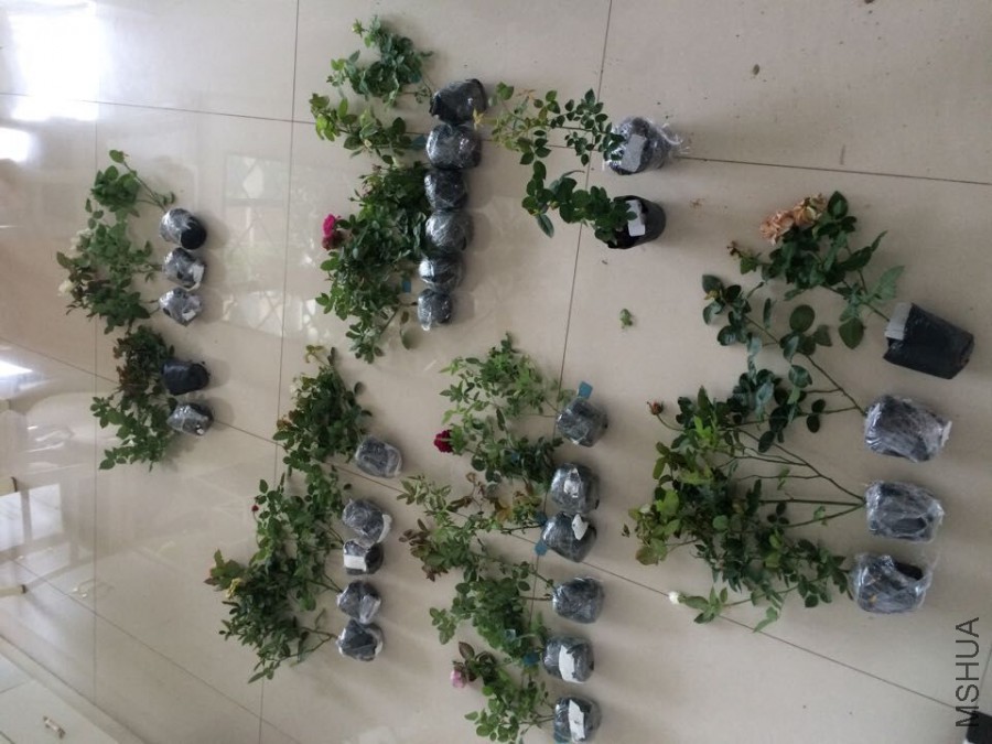 QQͼƬ20150829205309.jpg