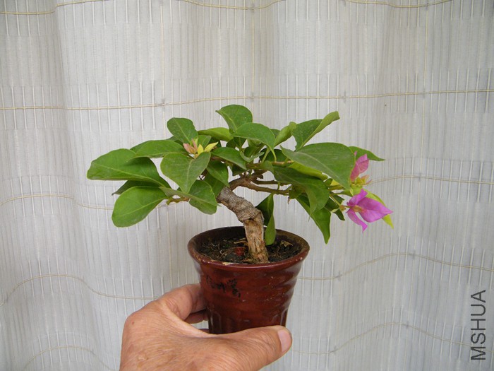 ΢��08 29 001.jpg