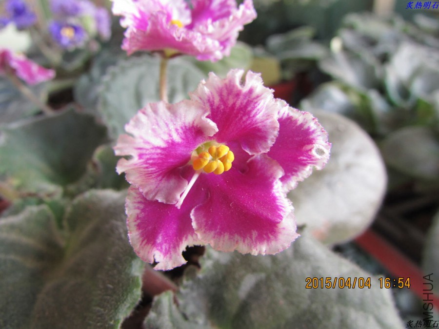 IMG_2506_nEO_IMG.jpg