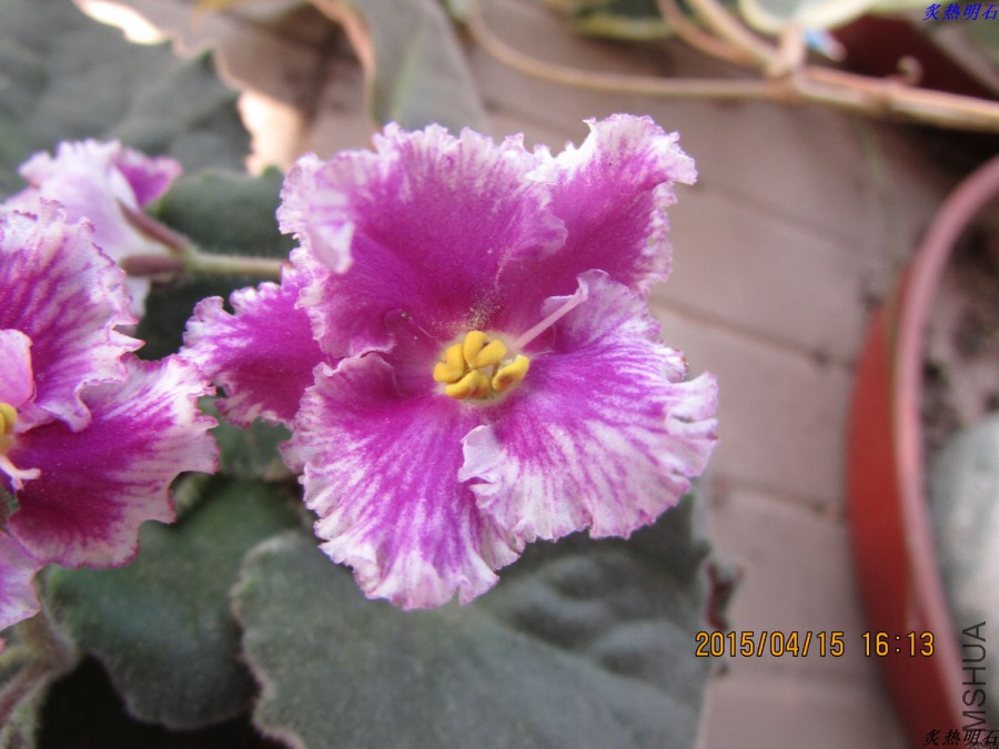 IMG_3557_nEO_IMG.jpg