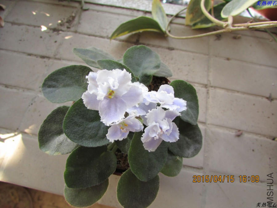 IMG_3532_nEO_IMG.jpg