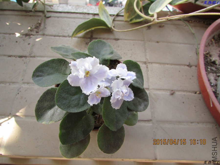 IMG_3534_nEO_IMG.jpg