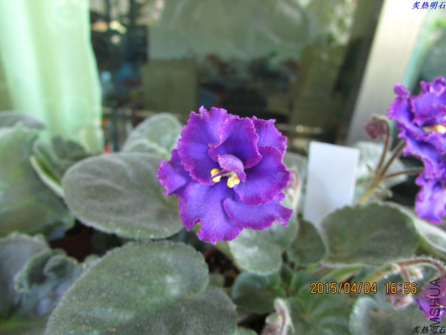 IMG_2520_nEO_IMG.jpg