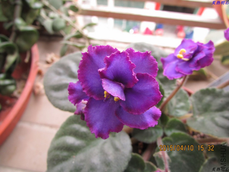 IMG_2974_nEO_IMG.jpg