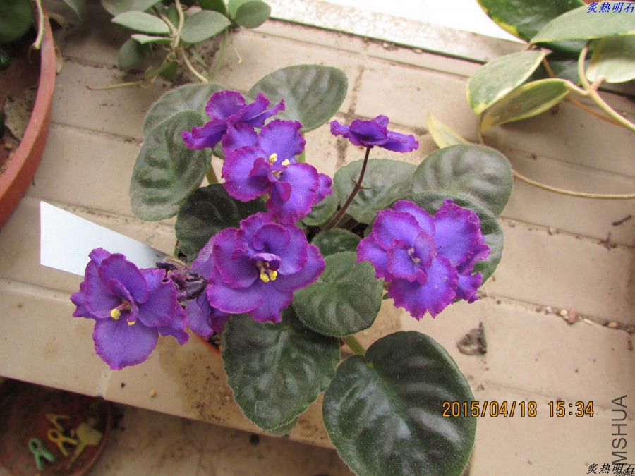 IMG_3745_nEO_IMG.jpg