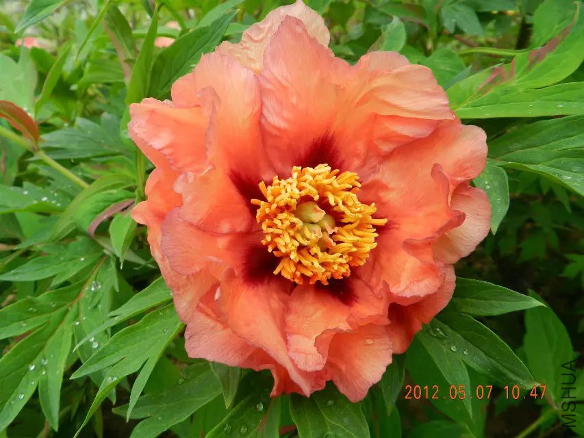 �ӻ��� 1.jpg