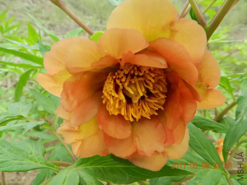 �ӻ����� 1.jpg