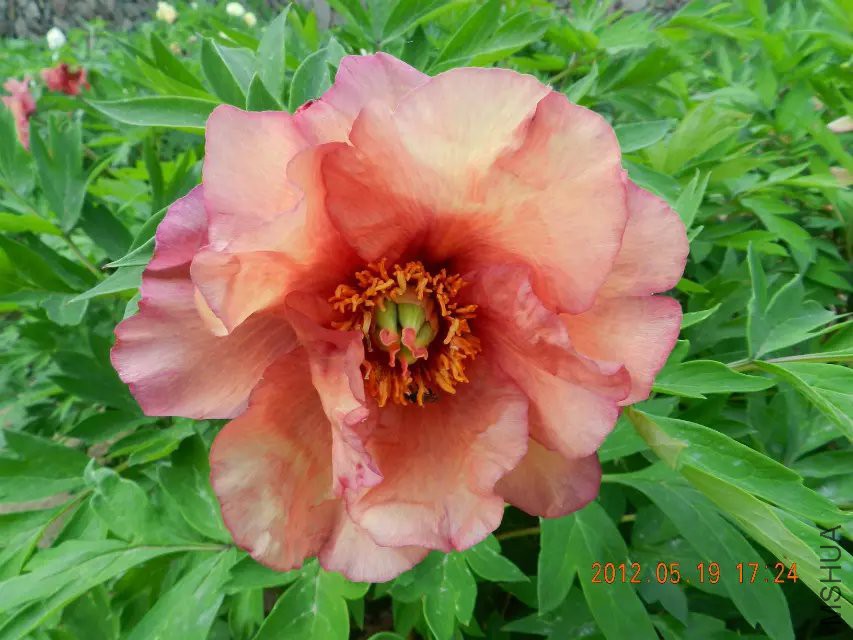 ��Ե�� 1.jpg