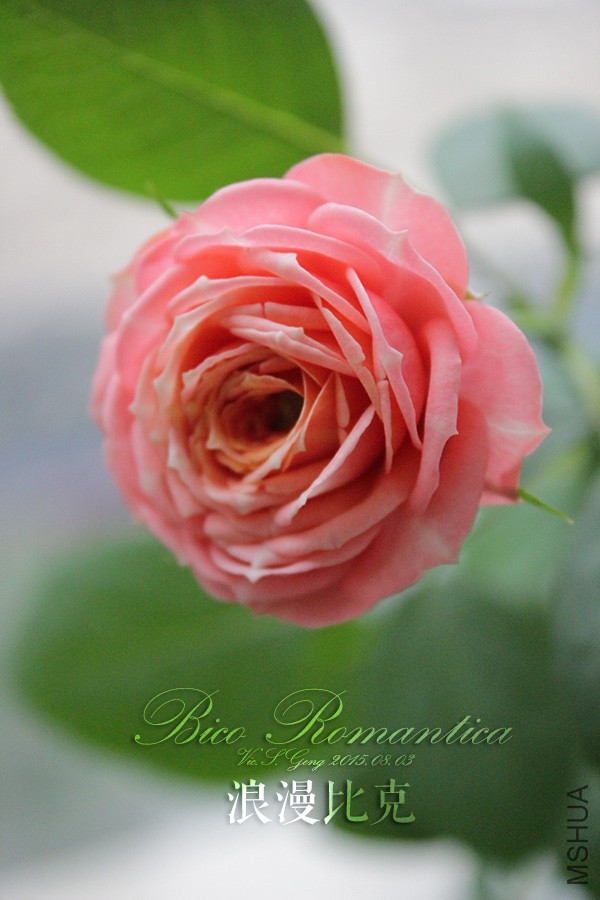 2015-08-03-��ħ��-022.jpg