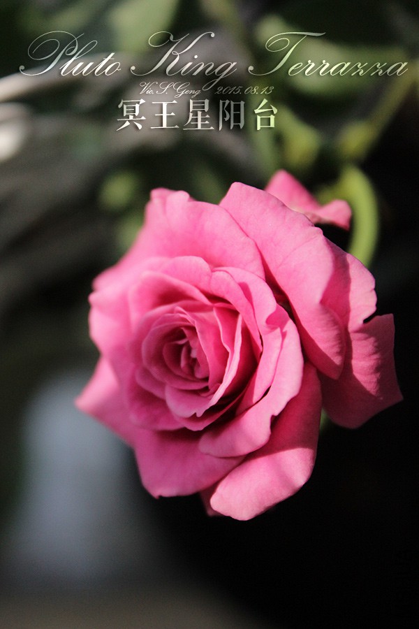 2015-08-13-ڤ����-028.jpg