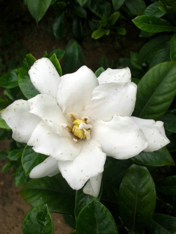 20140622_072618.jpg