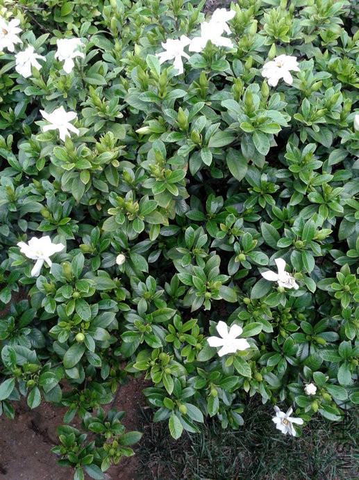 20140622_072545.jpg
