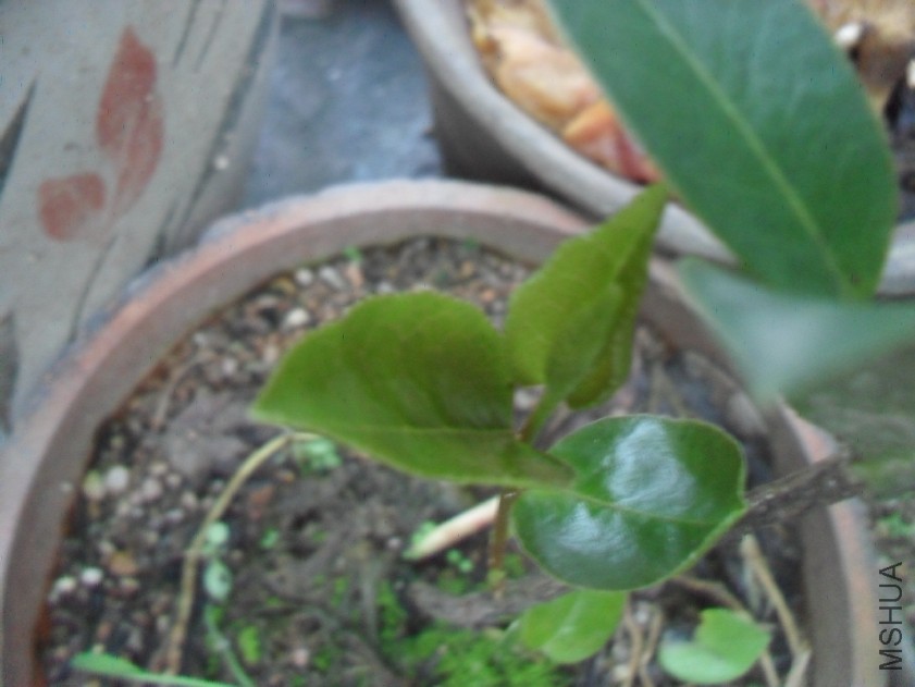 2015-08-31_174830.jpg