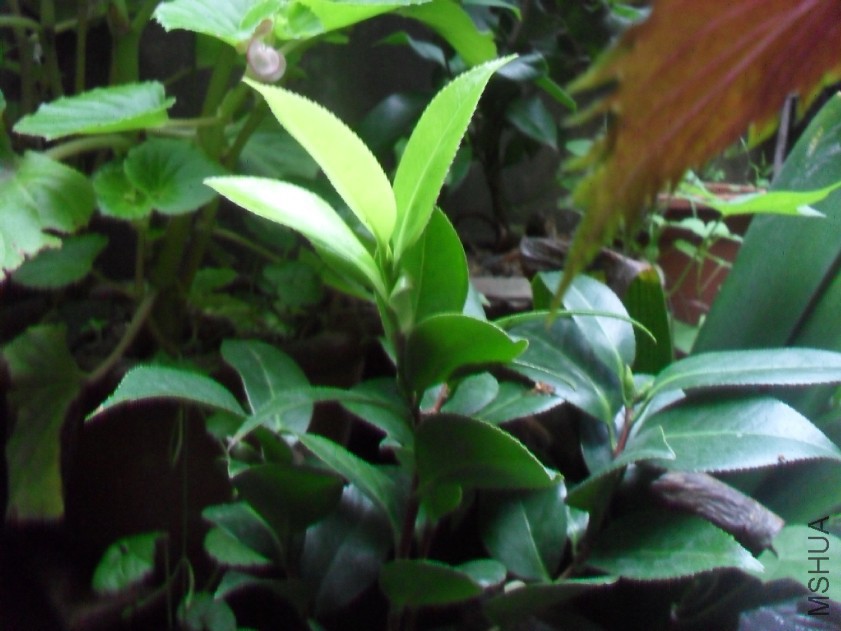 2015-08-31_174847.jpg