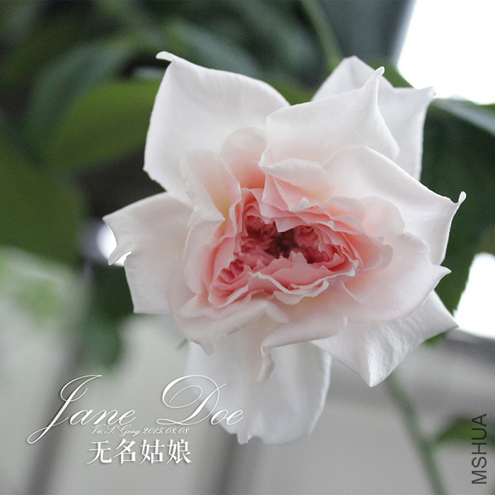 2015-08-08-��������-045.jpg