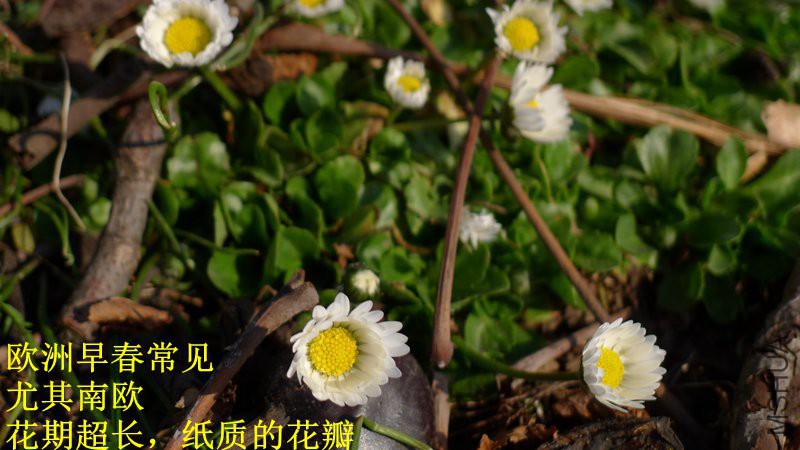 P1080644_����.jpg