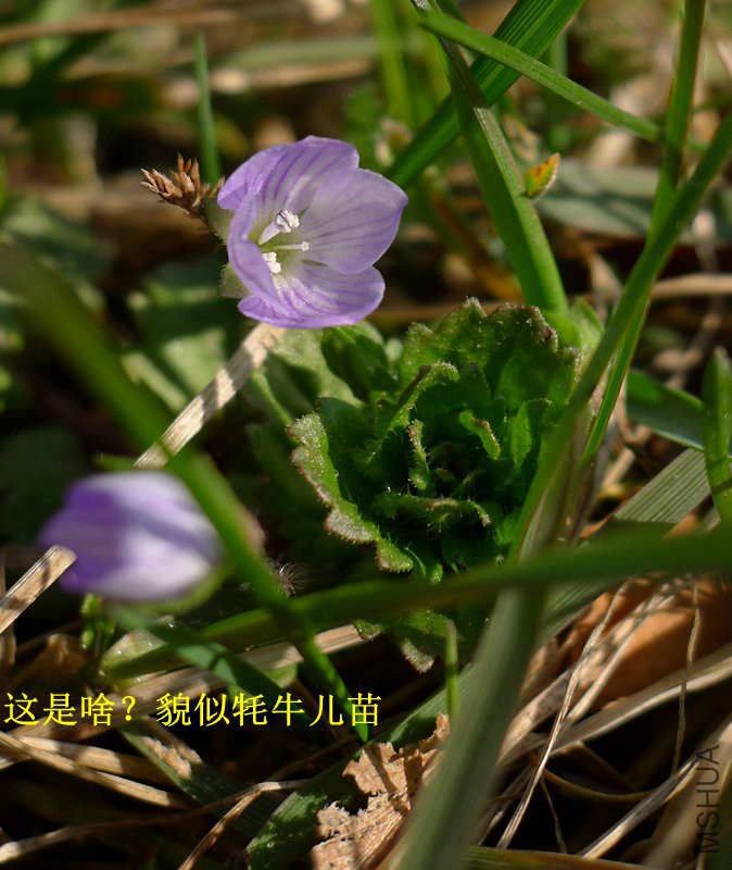 P1080647_����.jpg