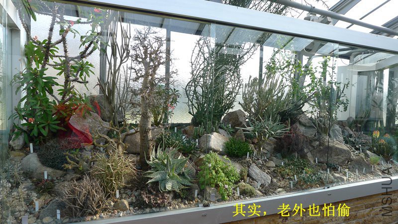 P1080665_����.jpg