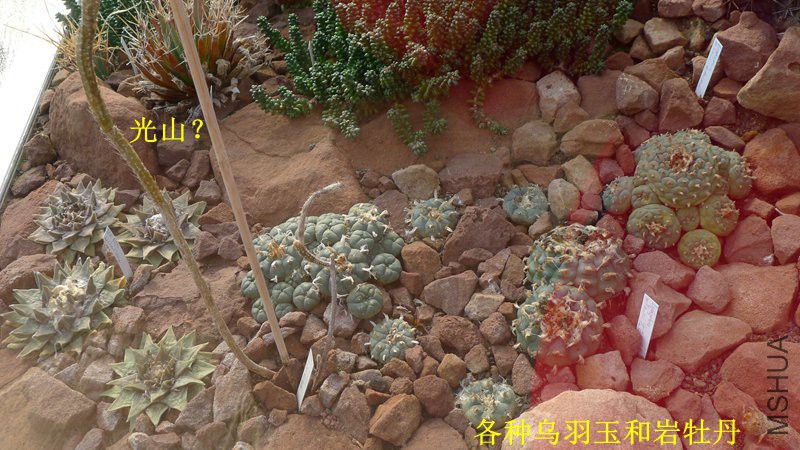 P1080669_����.jpg