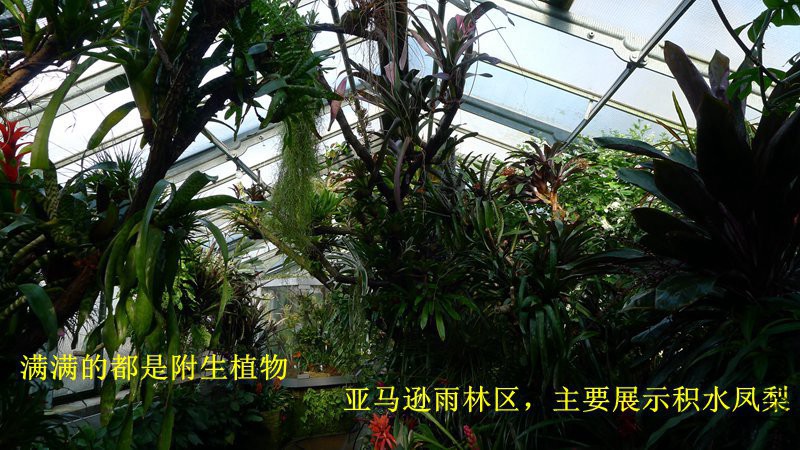 P1080674_����.jpg