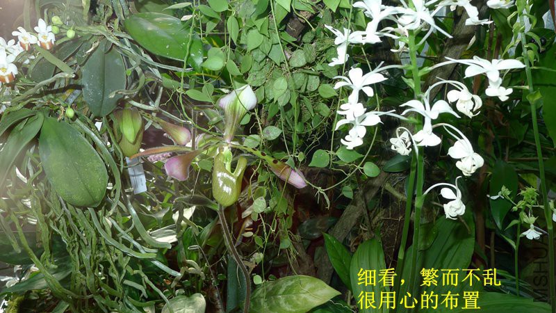 P1080691_����.jpg