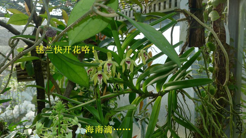 P1080693_����.jpg