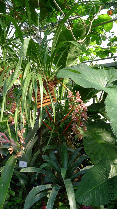 P1080700_����.jpg