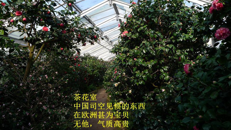 P1080716_����.jpg
