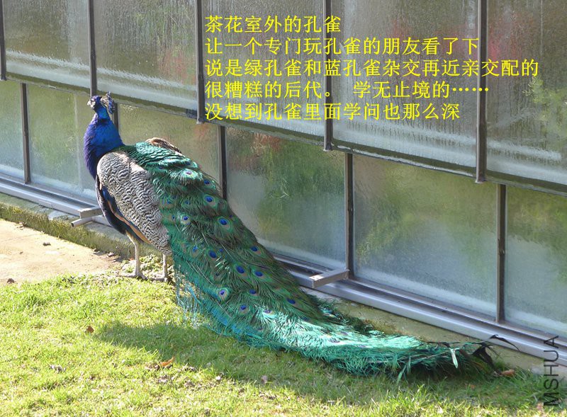 P1080723_����.jpg