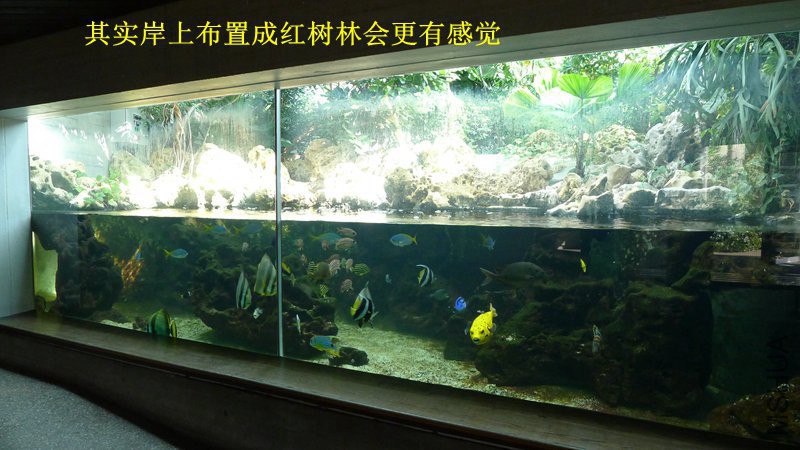P1080776_����.jpg