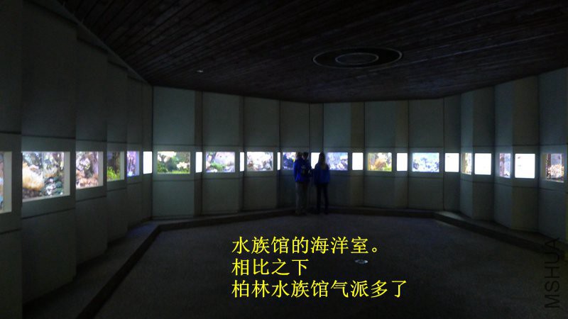 P1080760_����.jpg
