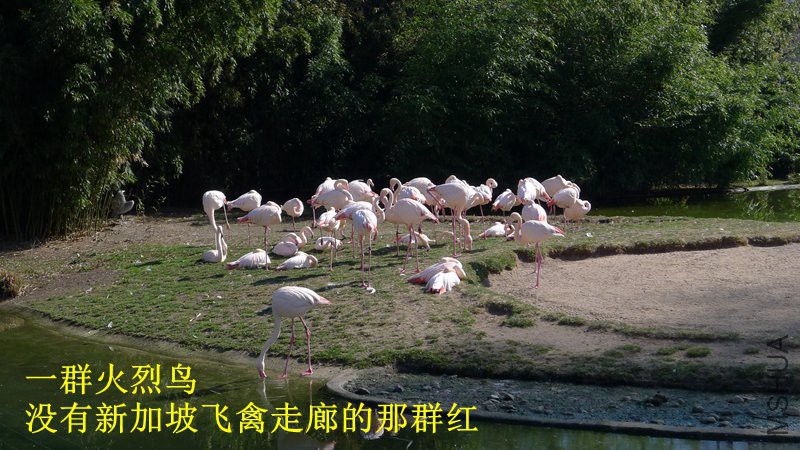 P1080800_����.jpg