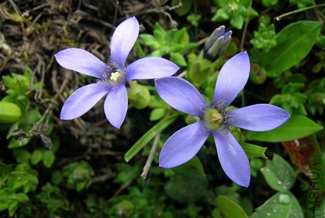 1373266578s9PjhK1H.jpg